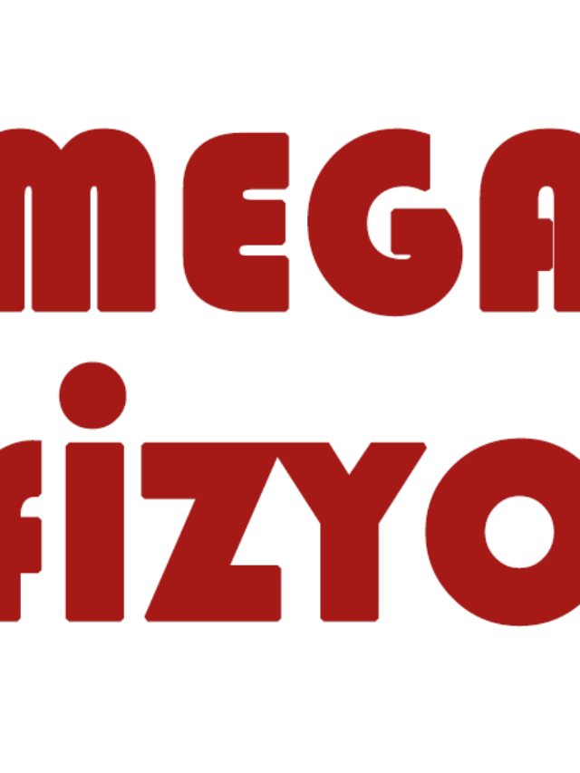 MEGA FİZYO EVDE FİZİK TEDAVİ HİZMETLERİ